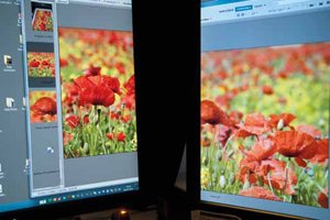 Dual Monitor Dilemma image 2