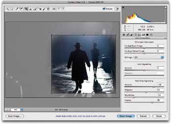 Post Cropping in Camera RAW