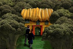 an example of the images created by Alison Burns
